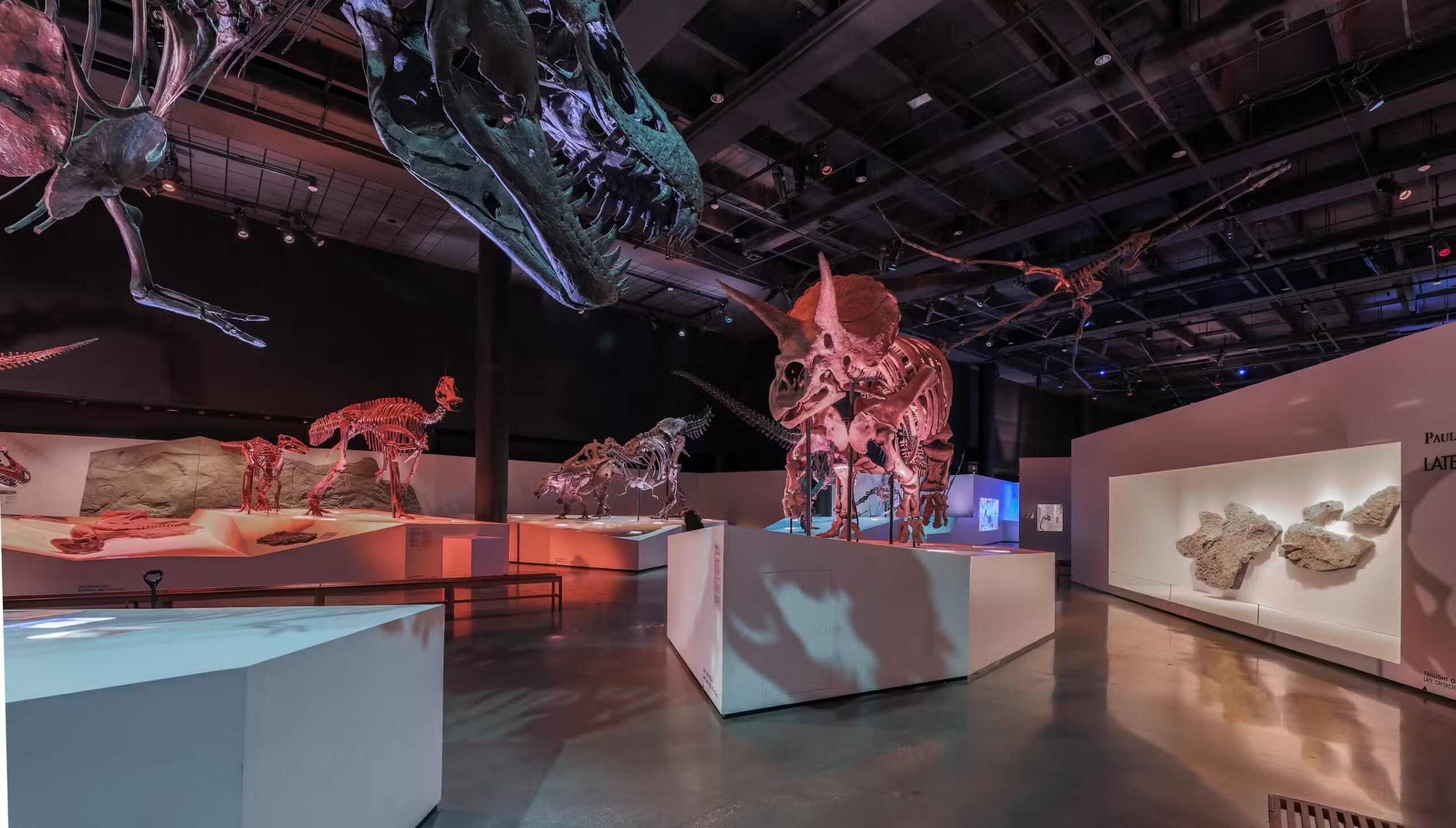 Houston Museum of Natural Science